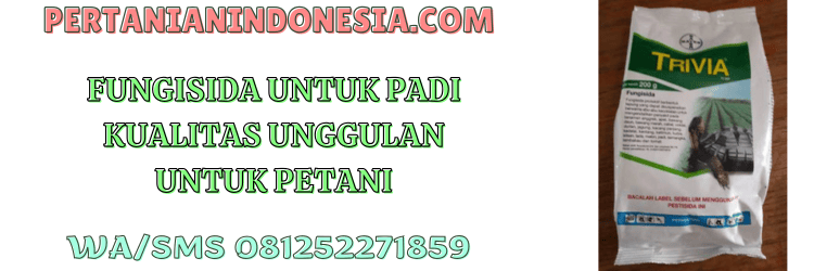 fungisida,padi,petani,pestisida,pestisida jenis fungisida,pertanian indonesia